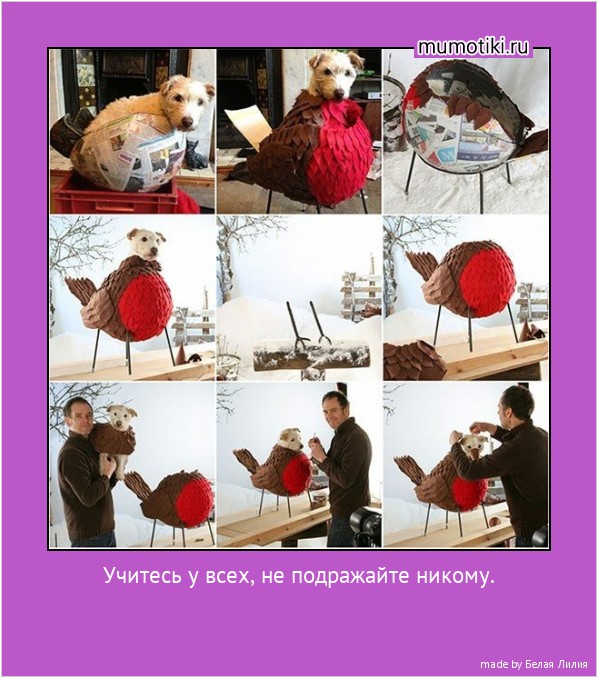 Учитесь у всех, не подражайте никому. #мотиватор