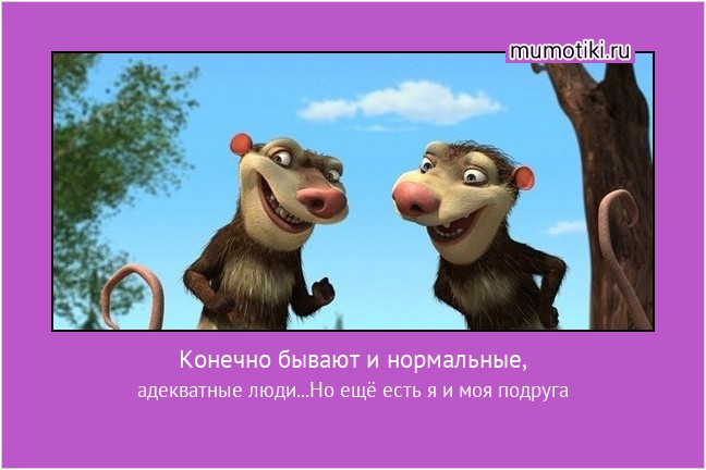 Конечно бывают и нормальные, адекватные люди...Но ещё есть я и моя подруга #мотиватор