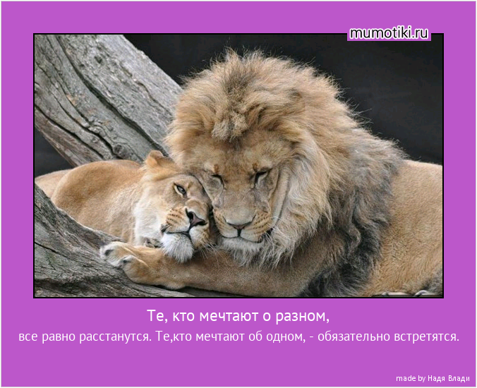 Те, кто мечтают о разном, все равно расстанутся. Те,кто мечтают об одном, - обязательно встретятся. #мотиватор