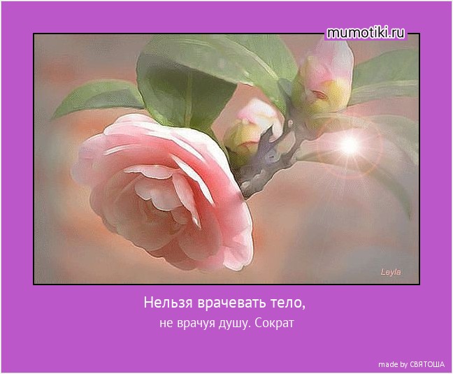Нельзя врачевать тело, не врачуя душу. Сократ #мотиватор