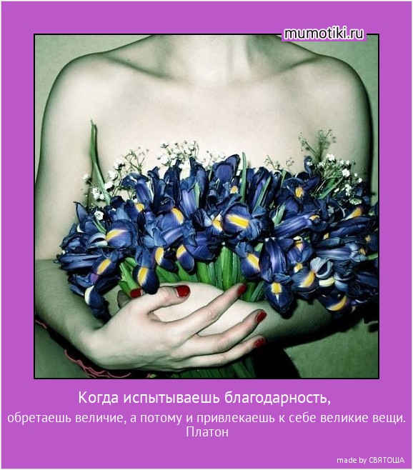 Когда испытываешь благодарность, обретаешь величие, а потому и привлекаешь к себе великие вещи.
Платон #мотиватор