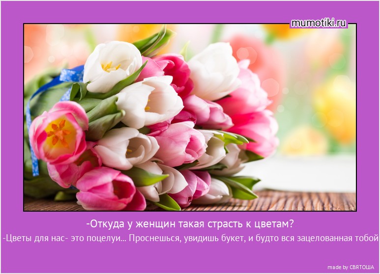 -Откуда у женщин такая страсть к цветам? -Цветы для нас- это поцелуи... Проснешься, увидишь букет, и будто вся зацелованная тобой #мотиватор