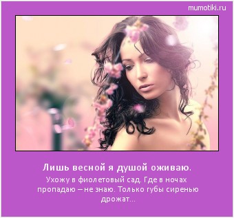 Лишь весной я душой оживаю. Ухожу в фиолетовый сад. Где в ночах пропадаю – не знаю. Только губы сиренью дрожат... #мотиватор