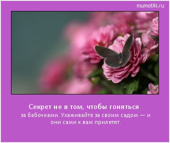 Секрет не в том, чтобы гоняться за бабочками. Ухаживайте за своим садом — и они сами к вам прилетят. #мотиватор