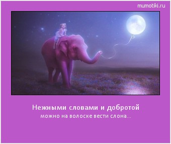 Нежными словами и добротой можно на волоске вести слона... #мотиватор