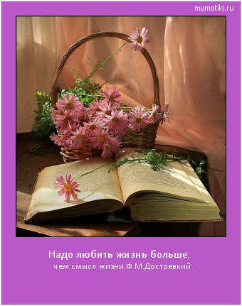 Надо любить жизнь больше, чем смысл жизни.
Ф.М.Достоевкий #мотиватор