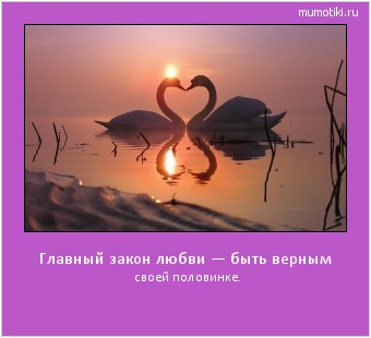 Главный закон любви — быть верным своей половинке. Cамые лучшие мотиваторы на mumotiki.ru Главный закон любви — быть верным своей половинке. #мотиватор