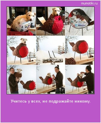Учитесь у всех, не подражайте никому. #мотиватор