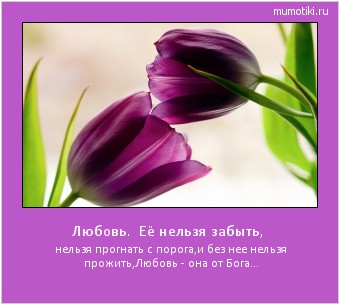 Любовь. Её нельзя забыть, нельзя прогнать с порога,
и без нее нельзя прожить,
Любовь - она от Бога... #мотиватор