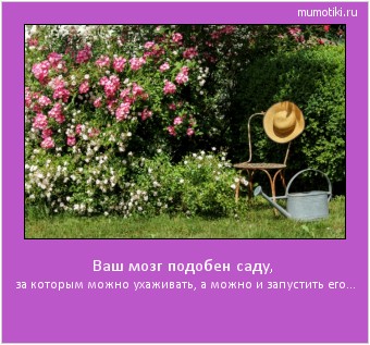 Ваш мозг подобен саду, за которым можно ухаживать, а можно и запустить его... #мотиватор