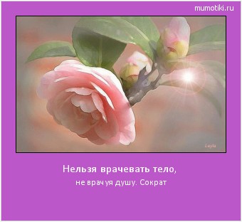Нельзя врачевать тело, не врачуя душу. Сократ Cамые лучшие мотиваторы на mumotiki.ru Нельзя врачевать тело, не врачуя душу. Сократ #мотиватор