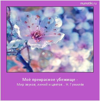 Моё прекрасное убежище - Мир звуков, линий и цветов... Н. Гумилёв #мотиватор