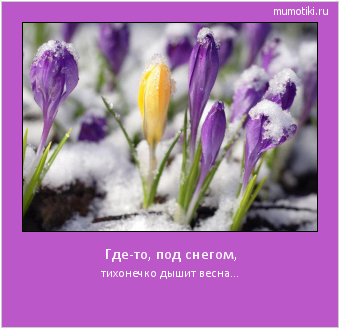Где-то, под снегом, тихонечко дышит весна... #мотиватор