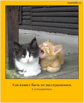 Как важно быть не выслушанным, а услышанным. #мотиватор