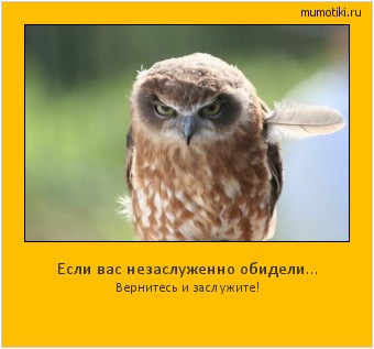Если вас незаслуженно обидели... Вернитесь и заслужите! Cамые лучшие мотиваторы на mumotiki.ru Если вас незаслуженно обидели... Вернитесь и заслужите! #мотиватор