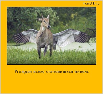 Угождая всем, становишься никем. #мотиватор