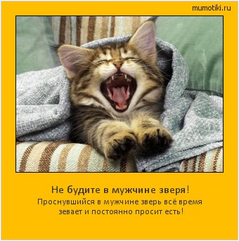 Не будите в мужчине зверя! Проснувшийся в мужчине зверь всё время зевает и постоянно просит есть! #мотиватор
