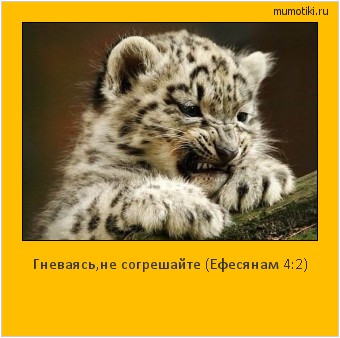 Гневаясь,не согрешайте (Ефесянам 4:2) Cамые лучшие мотиваторы на mumotiki.ru Гневаясь,не согрешайте (Ефесянам 4:2) #мотиватор