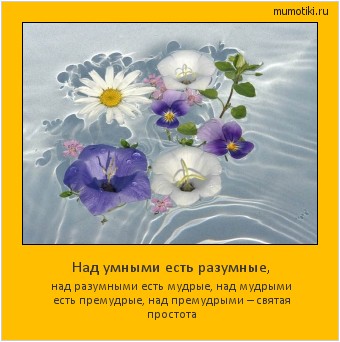 Над умными есть разумные, над разумными есть мудрые, над мудрыми есть премудрые, над премудрыми – святая простота Cамые лучшие мотиваторы на mumotiki.ru Над умными есть разумные, над разумными есть мудрые, над мудрыми есть премудрые, над премудрыми – святая простота #мотиватор