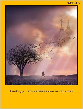 Свобода - это избавление от страстей #мотиватор