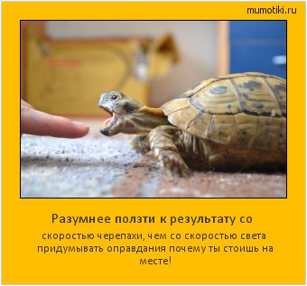 Разумнее ползти к результату со скоростью черепахи, чем со скоростью света придумывать оправдания почему ты стоишь на месте! #мотиватор