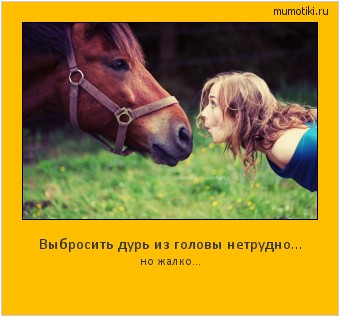 Выбросить дурь из головы нетрудно... но жалко... #мотиватор