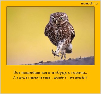 Вот пошлёшь кого-нибудь с горяча... А в душе переживаешь... дошёл?... не дошёл? #мотиватор
