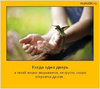Когда одна дверь в твоей жизни закрывается, не грусти, скоро откроется другая... #мотиватор