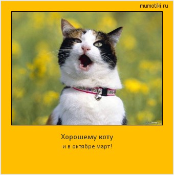 Хорошему коту и в октябре март! #мотиватор