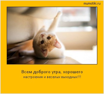 Всем доброго утра, хорошего настроения и веселых выходных!!! Cамые лучшие мотиваторы на mumotiki.ru Всем доброго утра, хорошего настроения и веселых выходных!!! #мотиватор