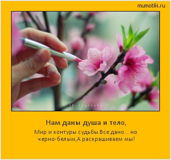 Нам даны душа и тело, Мир и контуры судьбы.
Все дано… но черно-белым,
А раскрашиваем мы! #мотиватор