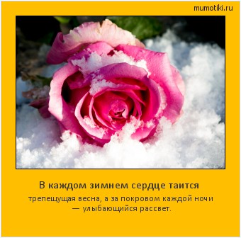 В каждом зимнем сердце таится трепещущая весна, а за покровом каждой ночи — улыбающийся рассвет. Cамые лучшие мотиваторы на mumotiki.ru В каждом зимнем сердце таится трепещущая весна, а за покровом каждой ночи — улыбающийся рассвет. #мотиватор