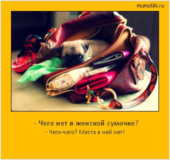 - Чего нет в женской сумочке? - Чего-чего? Места в ней нет! Cамые лучшие мотиваторы на mumotiki.ru - Чего нет в женской сумочке? - Чего-чего? Места в ней нет! #мотиватор