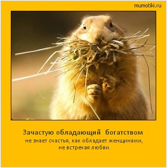 Зачастую обладающий богатством не знает счастья, как обладает женщинами, не встречая любви. Cамые лучшие мотиваторы на mumotiki.ru Зачастую обладающий богатством не знает счастья, как обладает женщинами, не встречая любви. #мотиватор