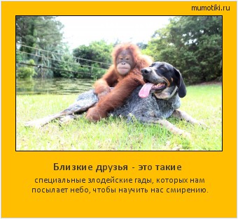Близкие друзья - это такие специальные злодейские гады, которых нам посылает небо, чтобы научить нас смирению. #мотиватор