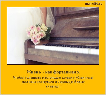 Жизнь - как фортепиано. Чтобы услышать настоящую музыку Жизни-мы должны коснуться и черных,и белых клавиш... Cамые лучшие мотиваторы на mumotiki.ru Жизнь - как фортепиано. Чтобы услышать настоящую музыку Жизни-мы должны коснуться и черных,и белых клавиш... #мотиватор