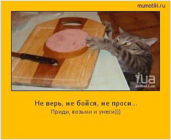 Не верь, не бойся, не проси... Приди, возьми и унеси))) #мотиватор