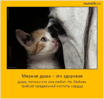 Мирная душа – это здоровая душа, потому что она любит. Но Любовь требует предельной чистоты сердца. #мотиватор