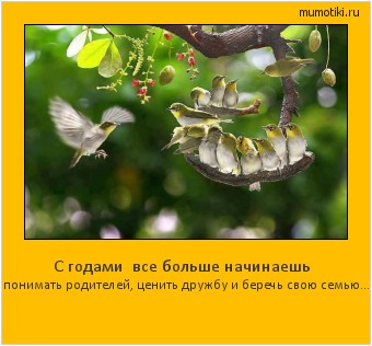 С годами все больше начинаешь понимать родителей, ценить дружбу и беречь свою семью... Cамые лучшие мотиваторы на mumotiki.ru С годами все больше начинаешь понимать родителей, ценить дружбу и беречь свою семью... #мотиватор