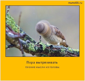 Пора вытряхивать плохие мысли из головы. Cамые лучшие мотиваторы на mumotiki.ru Пора вытряхивать плохие мысли из головы. #мотиватор