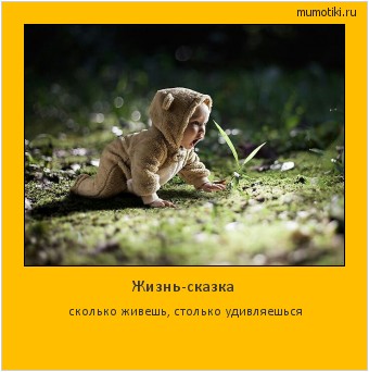 Жизнь-сказка сколько живешь, столько удивляешься #мотиватор