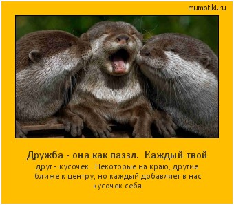 Дружба - она как паззл. Каждый твой друг - кусочек...Некоторые на краю, другие ближе к центру, но каждый добавляет в нас кусочек себя. #мотиватор