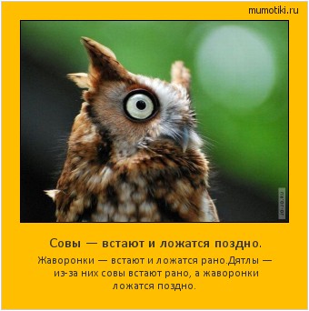 Совы — встают и ложатся поздно. Жаворонки — встают и ложатся рано.
Дятлы — из-за них совы встают рано, а жаворонки ложатся поздно. Cамые лучшие мотиваторы на mumotiki.ru Совы — встают и ложатся поздно. Жаворонки — встают и ложатся рано.
Дятлы — из-за них совы встают рано, а жаворонки ложатся поздно. #мотиватор