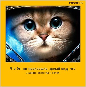 Что бы ни произошло, делай вид, что именно этого ты и хотел. #мотиватор