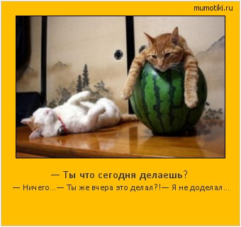— Ты что сегодня делаешь? — Ничего...
— Ты же вчера это делал?!
— Я не доделал... #мотиватор