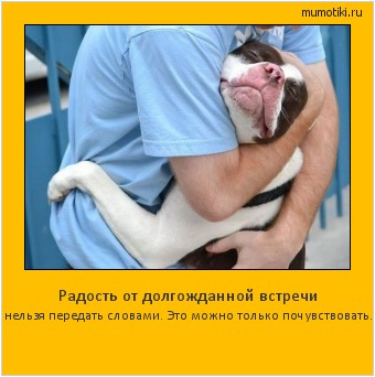 Радость от долгожданной встречи нельзя передать словами. Это можно только почувствовать. #мотиватор