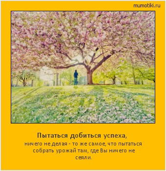 Пытаться добиться успеха, ничего не делая - то же самое, что пытаться собрать урожай там, где Вы ничего не сеяли. #мотиватор
