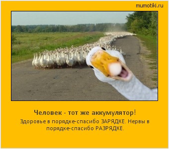 Человек - тот же аккумулятор! Здоровье в порядке-спасибо ЗАРЯДКЕ. Нервы в порядке-спасибо РАЗРЯДКЕ. Cамые лучшие мотиваторы на mumotiki.ru Человек - тот же аккумулятор! Здоровье в порядке-спасибо ЗАРЯДКЕ. Нервы в порядке-спасибо РАЗРЯДКЕ. #мотиватор