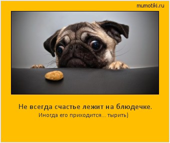 Не всегда счастье лежит на блюдечке. Иногда его приходится... тырить) Cамые лучшие мотиваторы на mumotiki.ru Не всегда счастье лежит на блюдечке. Иногда его приходится... тырить) #мотиватор