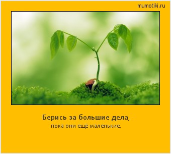 Берись за большие дела, пока они ещё маленькие. Cамые лучшие мотиваторы на mumotiki.ru Берись за большие дела, пока они ещё маленькие. #мотиватор